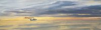 Vieux navire de charge à la vapeur sur l'horizon par Jan Brons Aperçu