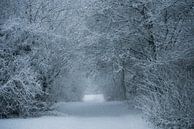 Doorkijkje in de sneeuw van Chantal Sloep thumbnail