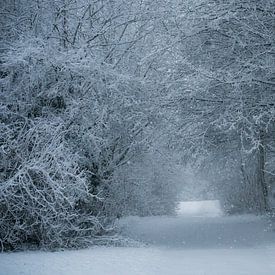 Doorkijkje in de sneeuw van Chantal Sloep