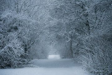 Doorkijkje in de sneeuw van Chantal Sloep