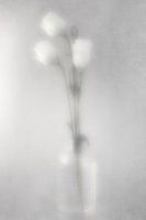 Glasvase mit weißen Blumen