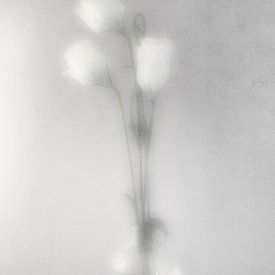 Glazen vaasje met witte bloemen