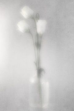 Glazen vaasje met witte bloemen