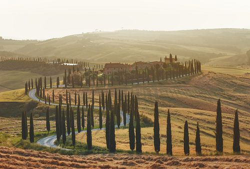 Magnifique paysage toscan avec la célèbre ferme et la route de campagne entourée de cyprès sous le s