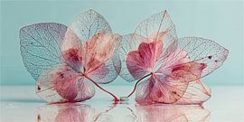 Gossamer Hearts Nr. 1 von Studio BB