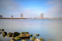 Maas