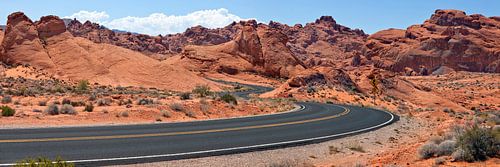 Country Road USA II von Melanie Viola