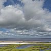 Salt marshes on the Eiderstedt peninsula, Wadden Sea National Park, by Peter Eckert