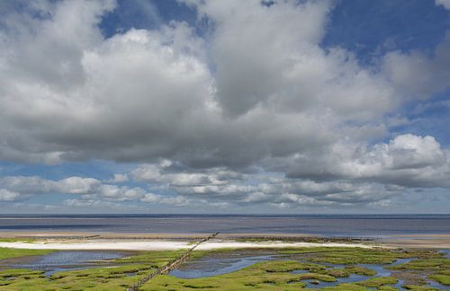 Salzwiesen auf der Halbinsel Eiderstedt,Nationalpark Wattenmeer, von Peter Eckert