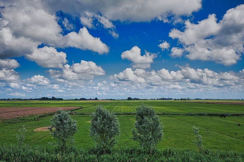 View over the polder near Akersloot by peterheinspictures
