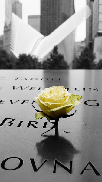 Roos bij een naam van het 9/11 memorial van ticus media