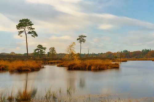 Stilte in Beweging van Geert Klein Breteler