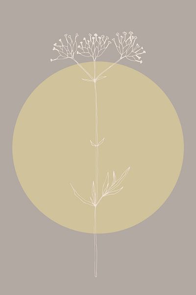 Japandi. Boho botanical flower in gold and taupe no. 10 by Dina Dankers