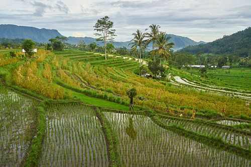Oost Bali