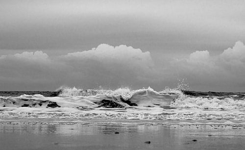 Deer Dream at a swamp in a forest with fireflies