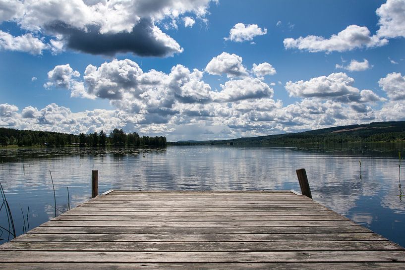 More in Sweden, the way nature should be! by marcel schoolenberg