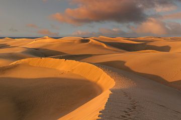 Zonsopgang in de duinen van Markus Lange