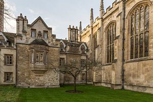 Sir Isaac Newton's appelboom