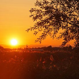 Zonsondergang van Joyce Loffeld