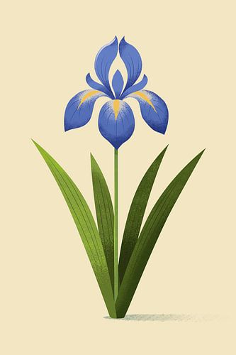 Iris de Croatie, illustration botanique de style minimaliste sur Eduard Broekhuijsen
