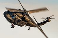 De Sikorsky UH-60 Black Hawk bij prachtig zonlicht van KC Photography thumbnail