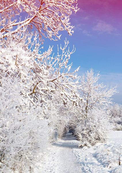 Winterlandschap van Bo Valentino