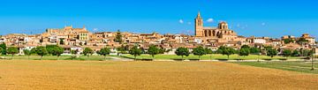 Panorama de Sineu à Majorque, Espagne sur Alex Winter