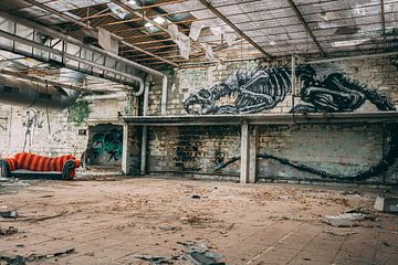 Usine abandonnée en Belgique - Usine Skeleton sur Coert van Opstal