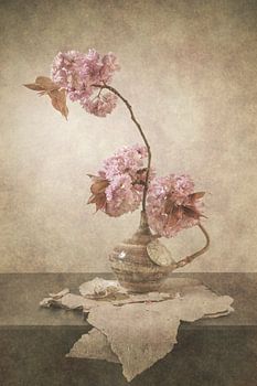 Blossom in medieval atmosphere.