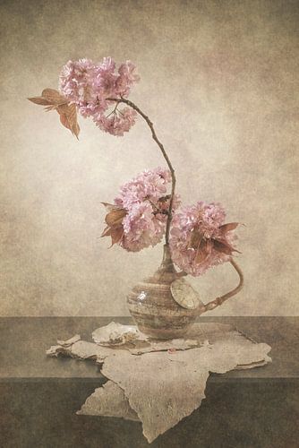 Blossom in medieval atmosphere.