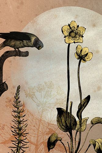 Papegaai en boterbloemen