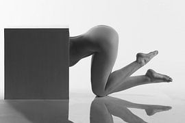 Artistic nude pose in a box