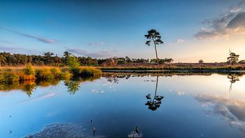 Overhasseltse und Hatertse Moore