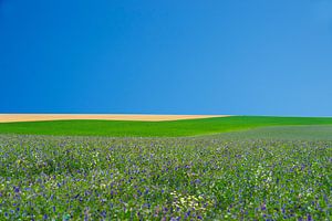 Paysage Culturel #5