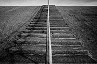 Dutch dike by Roel Beurskens thumbnail
