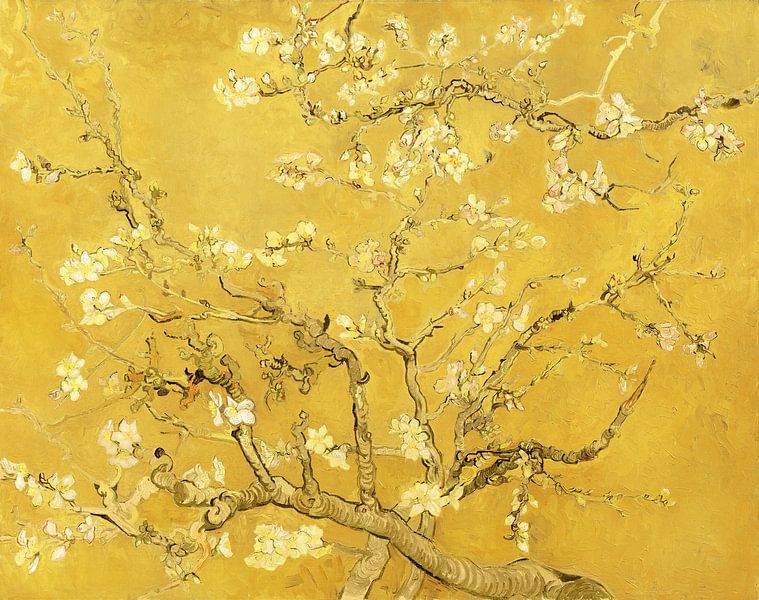 Amandelbloesem Van Vincent Van Gogh (Geel) Op Canvas, Behang, Poster En Meer