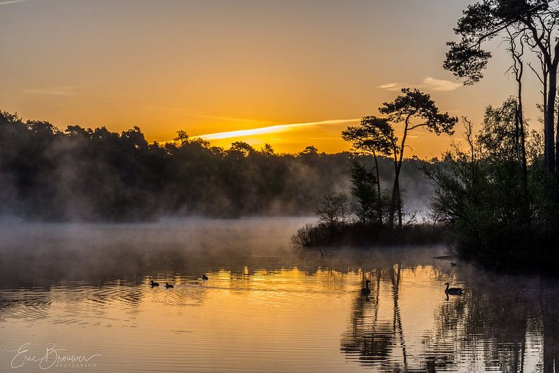 ochtend in oisterwijk par eric brouwer