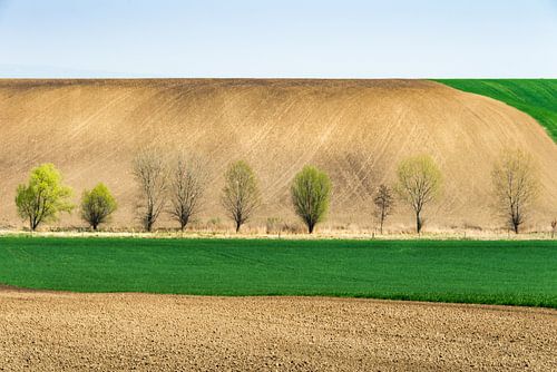 lente ploegen