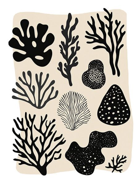Coral Collection von Treechild
