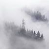 Oostenrijks bos in de wolken bij Dachtstein van Sander Grefte