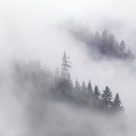 Österreichischer Wald in den Wolken bei Dachtstein von Sander Grefte