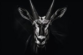 Antilope noir et blanc