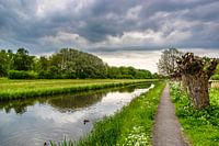 Wilgenlaantje  in het Delftse Hout