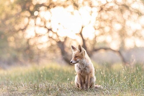 Even gaan zitten in de zon