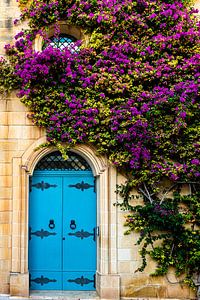 Hausfassade mit Blumen