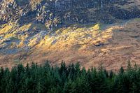 Herfstkleuren in de Schotse Hooglanden tijdens het lopen van de West Highland Way in de herfst