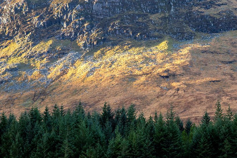 Herbstliche Farben in den schottischen Highlands beim Wandern auf dem West Highland Way im Herbst von Guido Boogert
