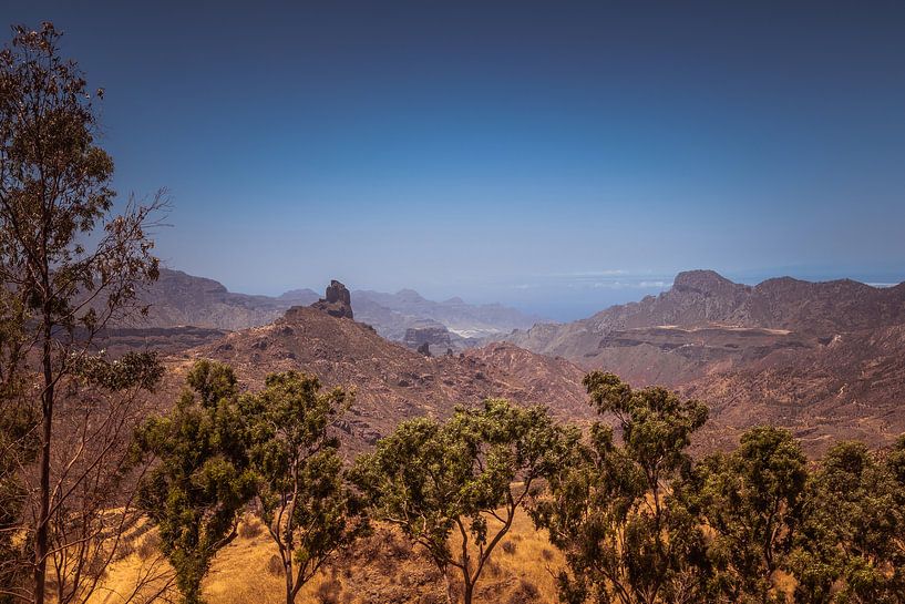 Gran Canaria - het ruige binnenland van Helga van de Kar