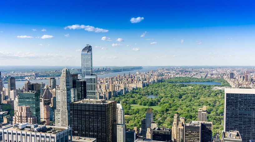 Vue de Central Park par Nature Urban Art Walls