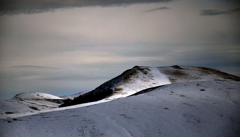 Templer von bruno blais